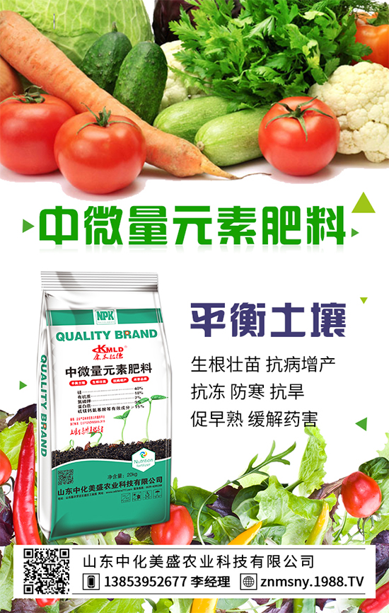 冬季草莓怎么管？冬季草莓管理措施！