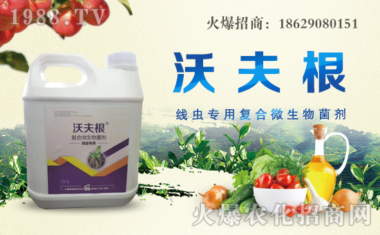 ��������ȫ�w�T��ף������µ�һ���������³����H�Қg����