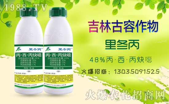     �����ֹ��ݡ�ף������w��������ͥ��̩���f��������