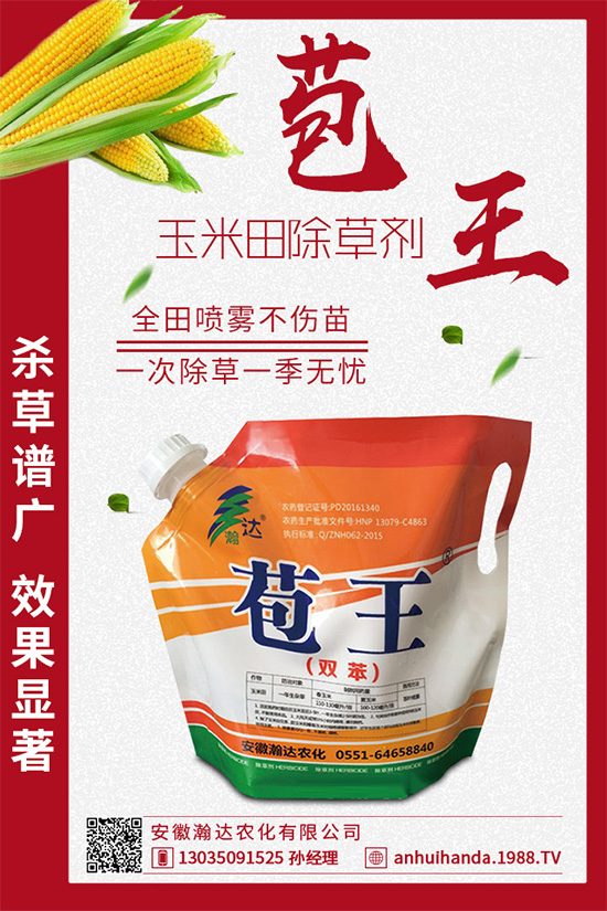     �����ֹ��ݡ�ף������w��������ͥ��̩���f��������