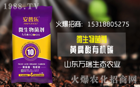     ���f�����B(t��i)��ף���2020�����w�����������d�����H���Ҹ���