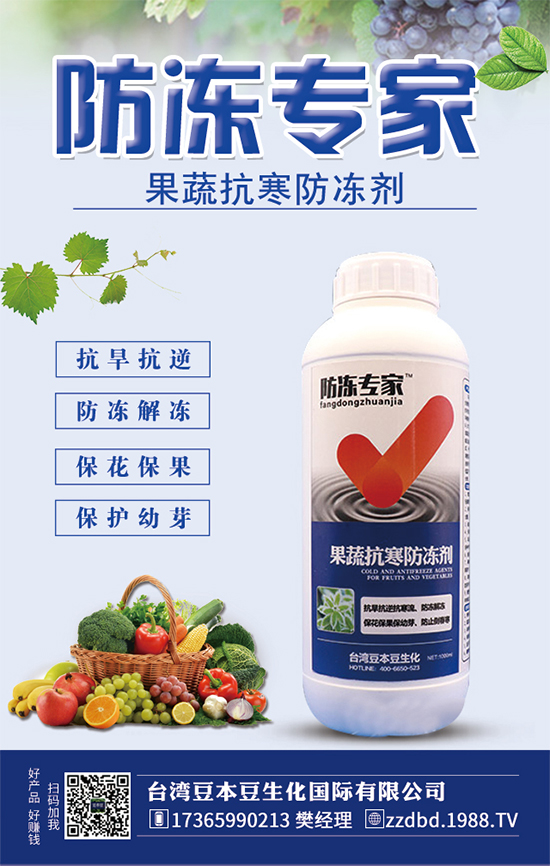 芒果幼苗時期怎么管?芒果修剪管理技術(shù)!