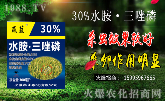 水稻鉆心蟲防治難點有哪些?水稻鉆心蟲危害及防治要點!