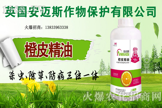 10�·Nֲ��Щ�߲˸����m�����g����Ҫ���c(di��n)ץ���Ď��c(di��n)��