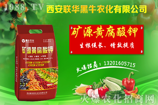 �＾����ԓ��ι������＾������푪������Ĵ��`�^(q��)��