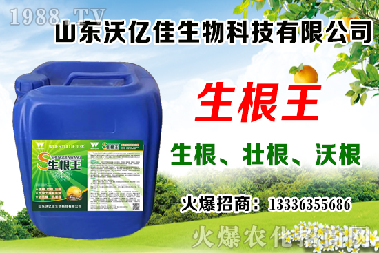 Ӱ푲�ݮ��ѿ�ֻ���������Щ����ݮ��ѿ�ֻ����c��ֲ����Ҫ�c(di��n)��