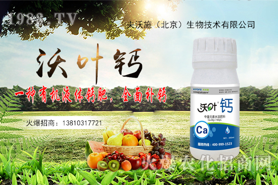 ����߀���ٝq����2020��10��20�ջ����r������