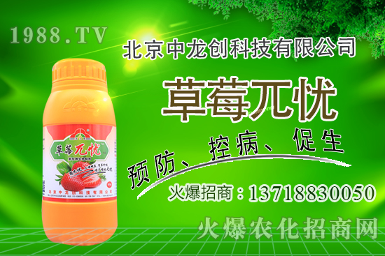 �������m�ϷNֲʲô��ˎ�ģ����@�����׷N��Щ��ˎ����