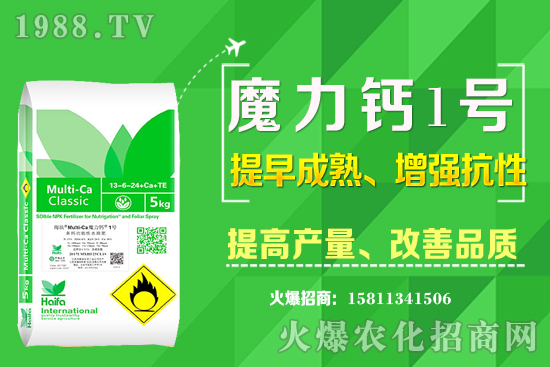 ʮ����Ѯ�m�ϷNֲʲô��ˎ������Щ��ˎ��ٍ�X�������