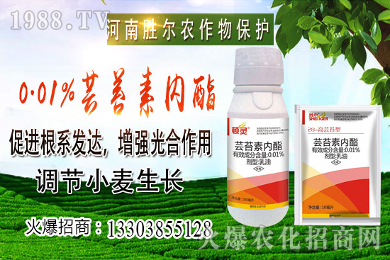 С���r(ji��)���ϝq��(ji��)����u�d�������п�����10��22��С���r(ji��)������