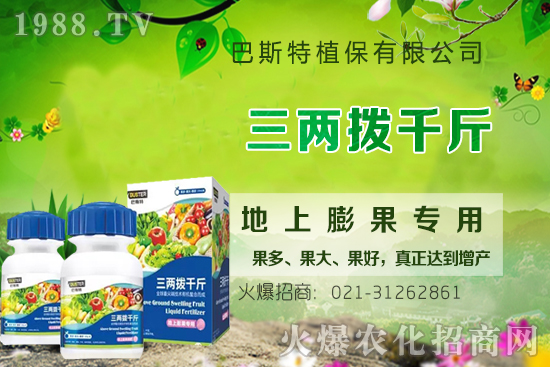 Ӱ�ţϥ��ϵ�����L��������Щ��ţϥ����������ʲô�~�����