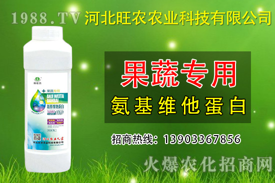枇杷種植為什么會(huì)裂果呢？預(yù)防枇杷裂果措施有哪些？