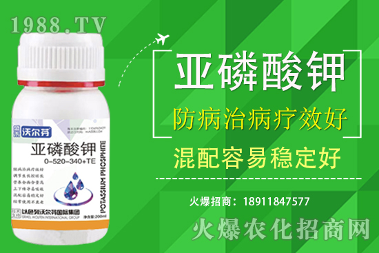 氮磷鉀主要的作用是什么？三者之間有什么關(guān)注？