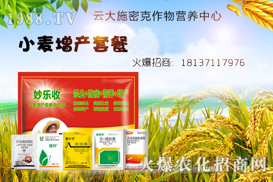 С�����N�󲻳�������ʲôԭ����ɵ���