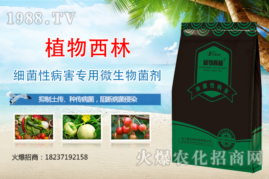 ����̿�Ҳ��Y����ʲô������̿�Ҳ��l(f��)��ԭ�򼰷���