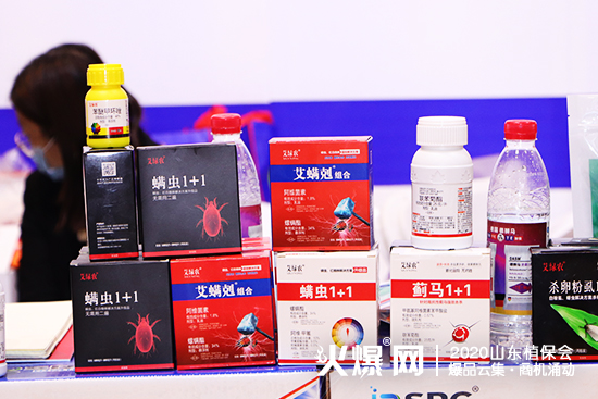 ɽ�|������2020ɽ�|ֲ�������W���ǈ�����Ź����