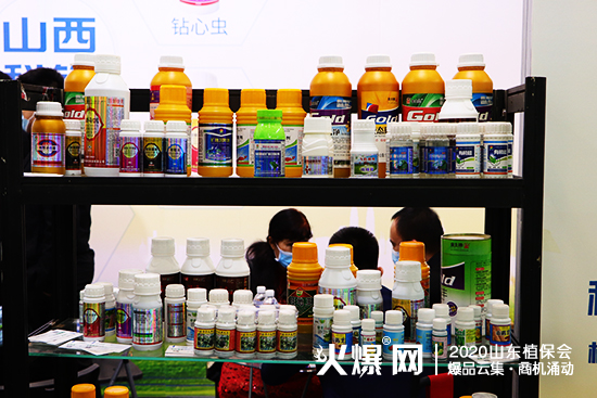 2020ɽ�|��(j��)��ֲ����(hu��)��ɽ�����h�r(n��ng)�I(y��)�F(xi��n)����ԃ����������չλ̖(h��o)��WT113��