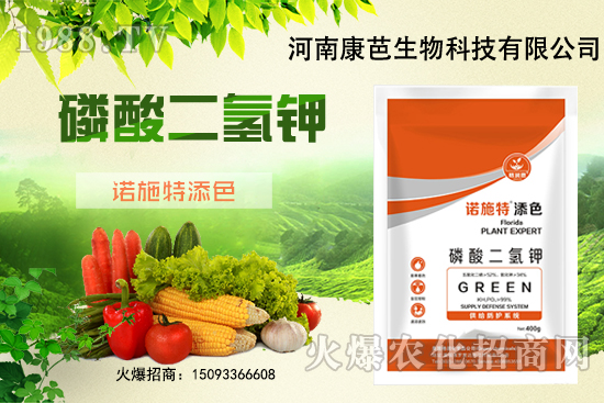 �������￹�����������⛼����������������8����