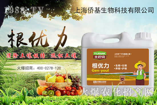 ����������ʲô�����������x������Щ��