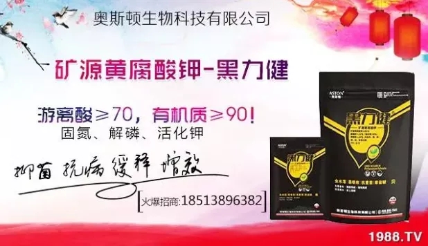 ����ʲô�r�g���N��ע���������Щ�����ش���Nֲ�r�g����