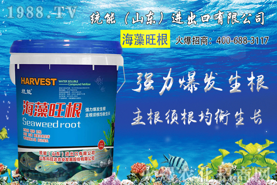 小麥價(jià)格大范圍上漲！預(yù)計(jì)小麥價(jià)格將突破1.25元/斤