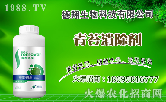 �Ͳ�ʲô�r(sh��)�g�Nֲ���Ͳ˷Nֲ������ʲô������Щע�����(xi��ng)��