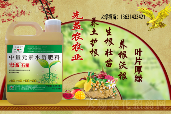 С���r������Xһ��������С���r��������