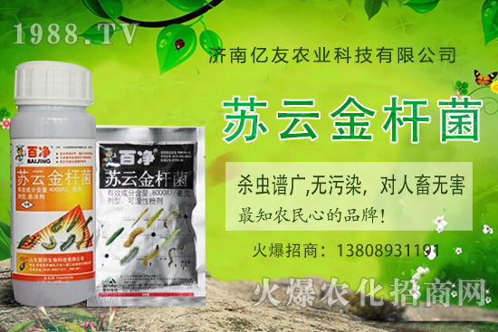 黃桃種植應(yīng)該注意哪些事項(xiàng)？黃桃種植時(shí)間及田間管理！