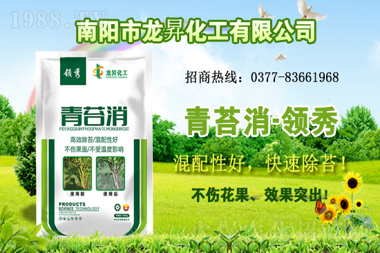 �󶹹�����(y��ng)�󣬃r����m(x��)�ϝq�����ش󶹃r������