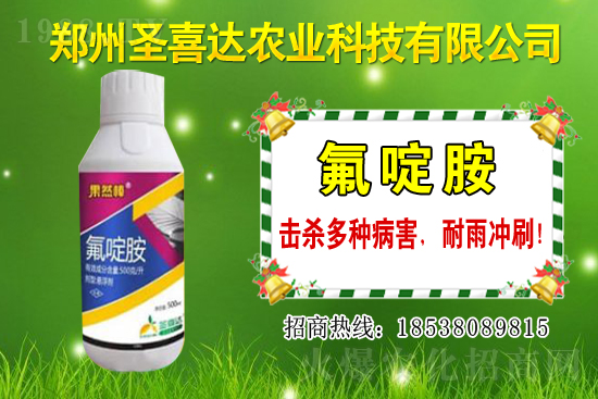 �������N��������Щ���������Ժ�ʲô�����׷N��