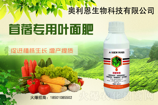 ��ޣԽ������ôʩ����ޣ��ʩ�ʹ���