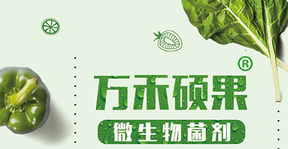 �w����-��Ч-�����r�I(y��)_01