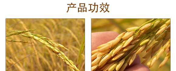 20%咪鮮·三環(huán)唑-巴特力-生農世澤_04_02