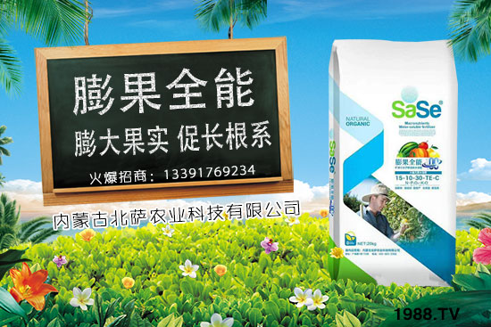 菜椒要怎么種植？菜椒生長條件及種植技術(shù)！