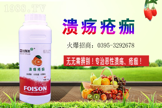 2021��ʯ��Nֲ���������ʯ�������ǰ����ô����