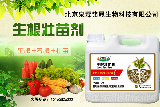 һ���y����2020-11-25�|�����ϝqѸ��