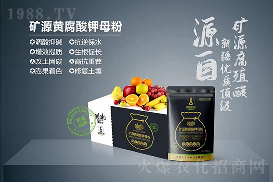 ʲô���߲��亦�����������￹��������