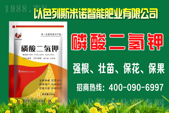 ����ʲô�r(sh��)�gʩ�������ٵ�ʩ�ʕr(sh��)�g��������B��