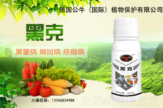 �|��������3Ԫ/�����11��28�մ󶹃r������