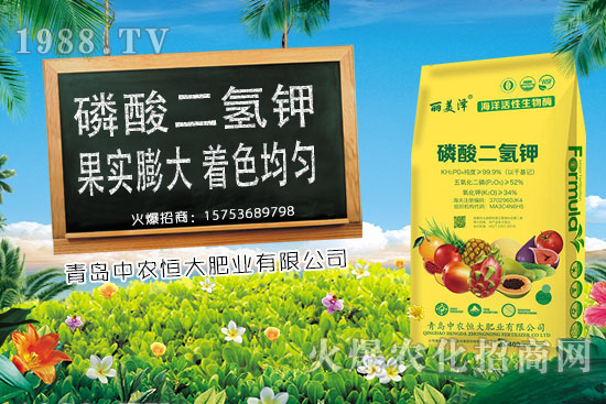 ����С���r(ji��)���ϝq�������Ƿ�����m(x��)�ϝq��