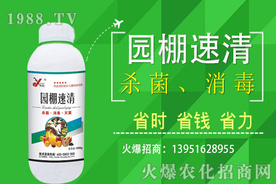 2020��11��5�վֲ������r(ji��)���(b��o)����