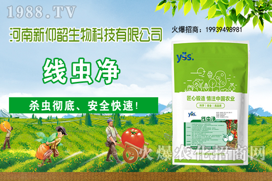 11��6�Շ�(gu��)��(n��i)С���r(ji��)���ව(w��n)���ֲ�С������(d��ng)��