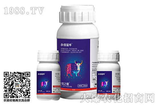 ���������x���r��2020.11.09