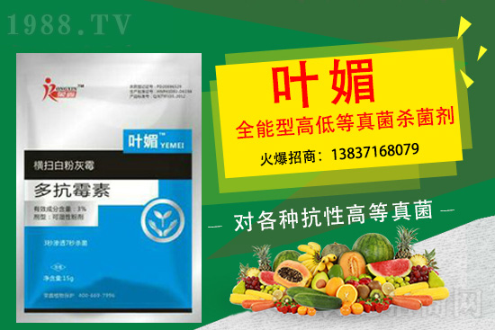 ����������(y��n)��̫�y�p������p�ɽ�Q��