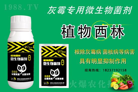 ��ù�������ε�ԭ������ô������Ч���ã�