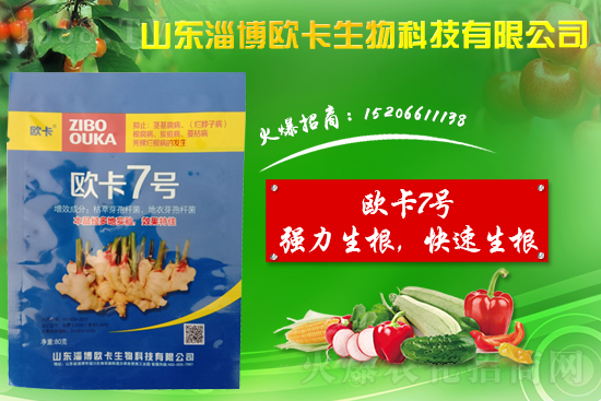 �󽪠����Ӳ���ʲô�����󽪠����Ӳ���ʲôˎ�÷���