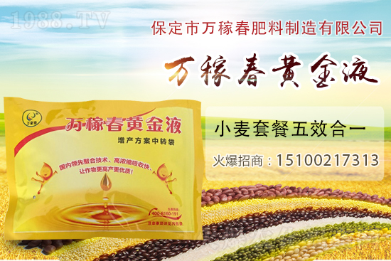 種植大蒜為什么要覆蓋地膜？地膜大蒜高產(chǎn)栽培及注意事項(xiàng)！