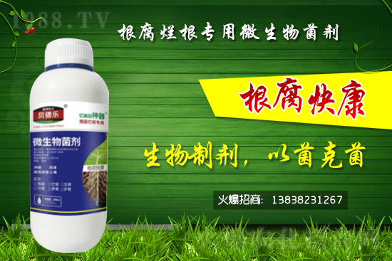 ΢������������θ������᣿��ô�x����