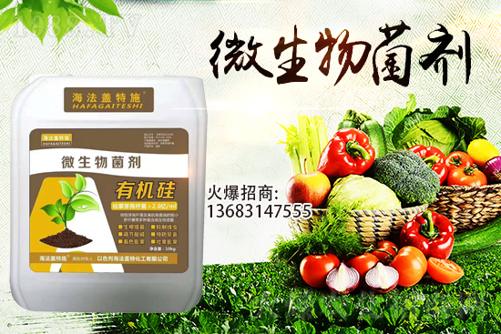 �������u��������m(x��)�͜أ���������Ҫ�c(di��n)��