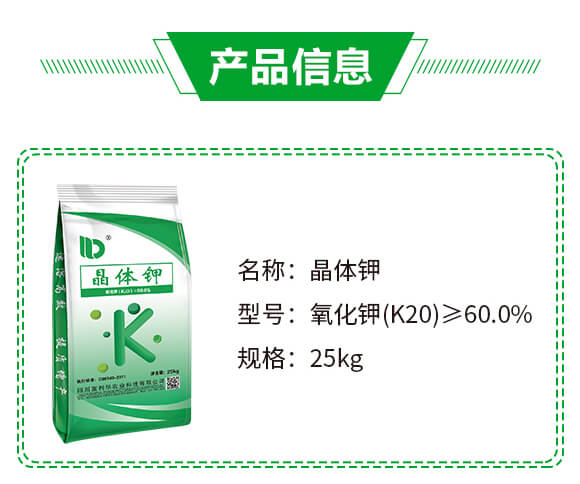 ���w⛣�25kg��-�����A_02